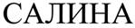 Описание: оварный знак ООО Салина Трейд. Логотип - торговая марка номер 500126